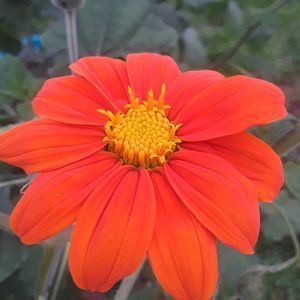 Meet your Posher, Pamela